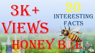 20 interesting facts About honey bee