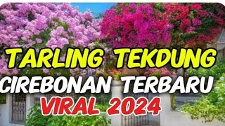 Tarling tekdung Cirebonan terbaru viral 2024 @selvianafamilyvlog230