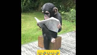 Sir Movie dialogues... Monkey's reading books