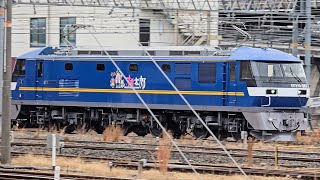 【約4時間遅れ】1081レ EF210形300番台363号機(前照灯LED) コキ25両 京都駅 通過シーン