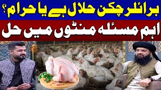 Is Broiler Chicken Halal Or Haram? | Ramzan Ka SAMAA | Ramadan 2024 | SAMAA Digital