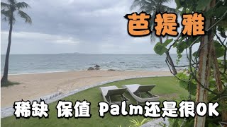 长期来看 palm的稀缺性和保值能力在芭提雅还是很能打的