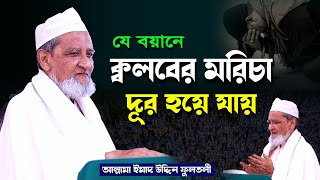 হীরার চেয়ে দামী নসীহত | আল্লামা ইমাদ উদ্দিন চৌধুরী ফুলতলী | Allama Imad Uddin Fultoli new waz