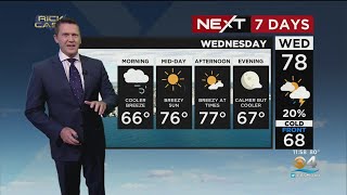 Miami Weather: Weekend Forecast