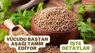 KİŞNİŞİN FAYDALARI NELERDİR/KİŞNİŞ NE İŞE YARAR/KİŞNİŞ NASIL KULLANILIR/KİŞNİŞ NASIL TÜKETİLMELİ