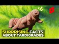 3 Facts About Tardigrades That Will Surprise You #shorts