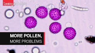 We asked pollen trackers how bad this allergy season is really — Speaking of Chemistry