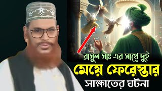 রাসুল সাঃ এর সাথে দুই মেয়ে ফেরেস্তার সাক্ষাতের ঘটনা।। আল্লামা দেলোয়ার হোসেন সাঈদি Allma saidi 2025