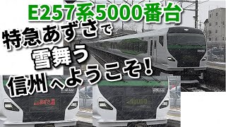 【E257系5000番台  特急あずさで雪舞う信州へようこそ！】