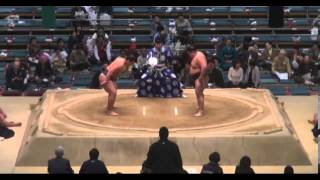 Tatsu vs Fukugoriki Day 5 Sumo Haru Basho March 2014