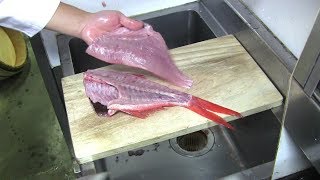 金目鯛のさばき方と兜割り　寿司職人の仕込み　how to fillet a Red snapper