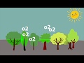 function ozone layer for humans life - animation