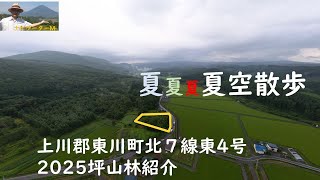 成約です　東川町北７線東4号　２０２５坪山林紹介