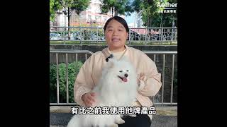 【用戶真實回饋】多米媽媽的心得分享 🐶💖