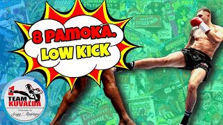 8 pamoka. Low kick (kojos smūgis į šlaunį)