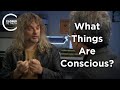 David Chalmers - What Things are Conscious?