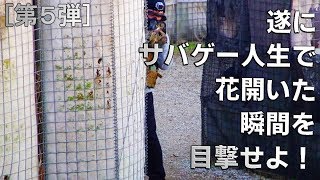 【第５回】2019/11/16 戦記録 前編【東京サバゲーパーク】