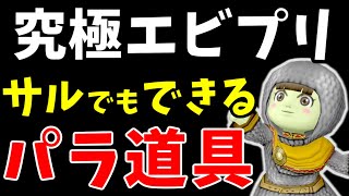 【ドラクエ10】誰でも簡単！究極エビルプリーストの「パラ道具構成」が簡単＆快適すぎた件！【パラディン/どうぐ使い】【コインボス】