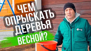 Весенняя обработка деревьев. СПАСАЕМ САД ОТ БОЛЕЗНЕЙ