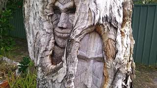 FACES carved in Living Trees...