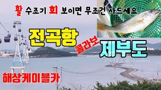 ♤전곡항 1타 쌍피~ 활수조기회 보이면 무조건 사드세요~ 전곡항과 제부도의 콜라보~ 해상케이블카!!!