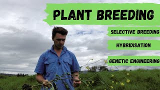 What is Plant Breeding? - Selective Breeding, Hybridisation and Genetic Engineering