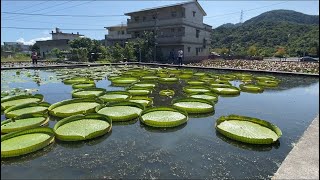 台湾农村原来这样，从心认识台湾，从心感受台湾，相信会收到最美礼物！