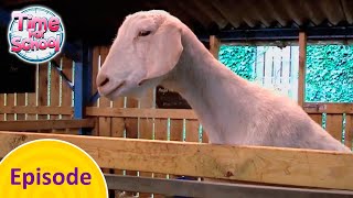 School Trip to the Farm | Time for School Full Episode