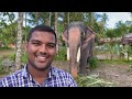 പുതുപ്പള്ളി സാധു puthuppally sadhu തമിഴ്നാട്ടിലേയ്ക്ക് elephant story vm pradeep media