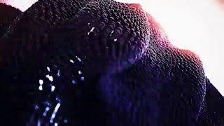 Element 3D Audio React - C2C - Down The Road