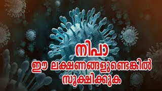 നിപാ ഈ ലക്ഷണങ്ങളുണ്ടെങ്കില്‍ സൂക്ഷിക്കുക- Symptoms of Nypa Virus