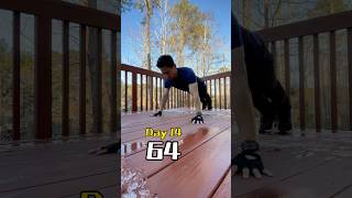 第14天：户外64个俯卧撑，挑战继续升级！Day 14: 64 Push-Ups Outdoors, the Challenge Keeps Getting Tougher! #motivation