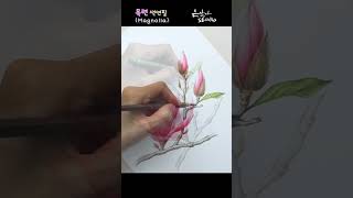 목련 색연필 꽃그리기 | Flower Drawing Magnolia | 꽃그림 배우기