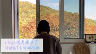 [v-log] 시골 목장 살이. 만들어 먹고 도시에 나가 먹고 마시며 노는 일상. 애미 껌딱지 고양이들과 함께 하는 하루하루. 다시보는 나는 솔로