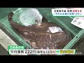 宮城・石巻魚市場で初競り式　１年の豊漁を願う