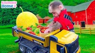Monkey BiBi drives a truck to harvest fruit on the farm