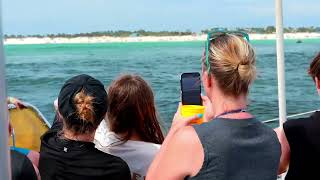 ⛵️Ultimate Adventure Tour in Panama City Beach | Paradise Adventures