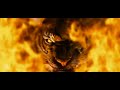 Tiger group Logo - loop created by Mint Studio by VJ Nirav