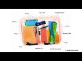 Safeagle 7-colors imaging X-Ray Baggage Scanner Video