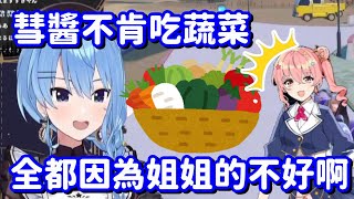 彗醬偏食的原因 居然是因為在大家心目中「完美」的姐街!?【Hololive中文精華】【星街彗星】