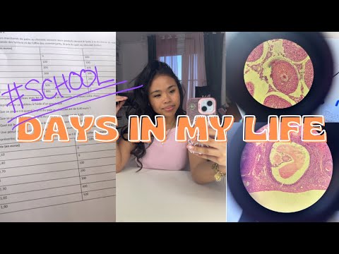 School Vlog Youtube