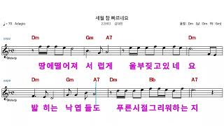 (MR)  22883  세월참빠르네요  - 김대천