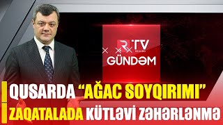 QUSARDA 4200 AĞAC TƏHLÜKƏDƏ/ ZAQATALADA KÜTLƏVİ ZƏHƏRLƏNMƏ