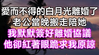 愛而不得的白月光離婚了，老公當晚搬走陪她！我默默簽好離婚協議，他卻紅著眼跪求我原諒！| #故事 #一口氣看完 #情感故事 #家庭倫理 #生活經驗 #結婚 #離婚 #婚姻 #愛情 #白月光 #出軌