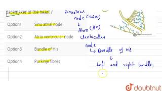 Which of the following is known as natural pacemaker of the heart ?