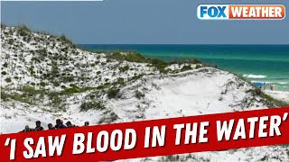 'I Saw Blood In The Water': Vacationing Doctor Rushes To Help Young Shark Bite Victim On FL Beach