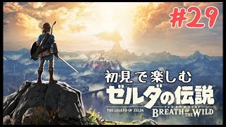 ゼルダの伝説 ブレスオブザワイルドを初見プレイ#29【BotW】