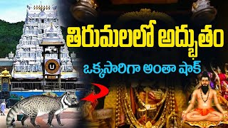 తిరుమలలో అధ్బుతం | Tirumala secrets in telugu |  Tirumala Balaji attraction secret