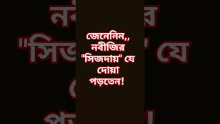 জেনেনিন,, নবীজির \