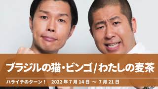 ブラジルの猫・ビンゴ わたしの麦茶【ハライチのターン！】2022年7月14日〜7月21日